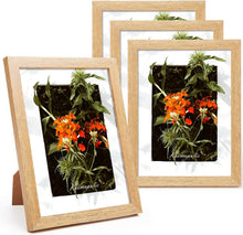 Bilderrahmen Set: 4x MDF Rahmen 15x20 cm, Acrylglas, Eichenoptik