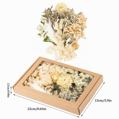 Getrocknete Blumen bunt – DIY Set für Deko & Basteln