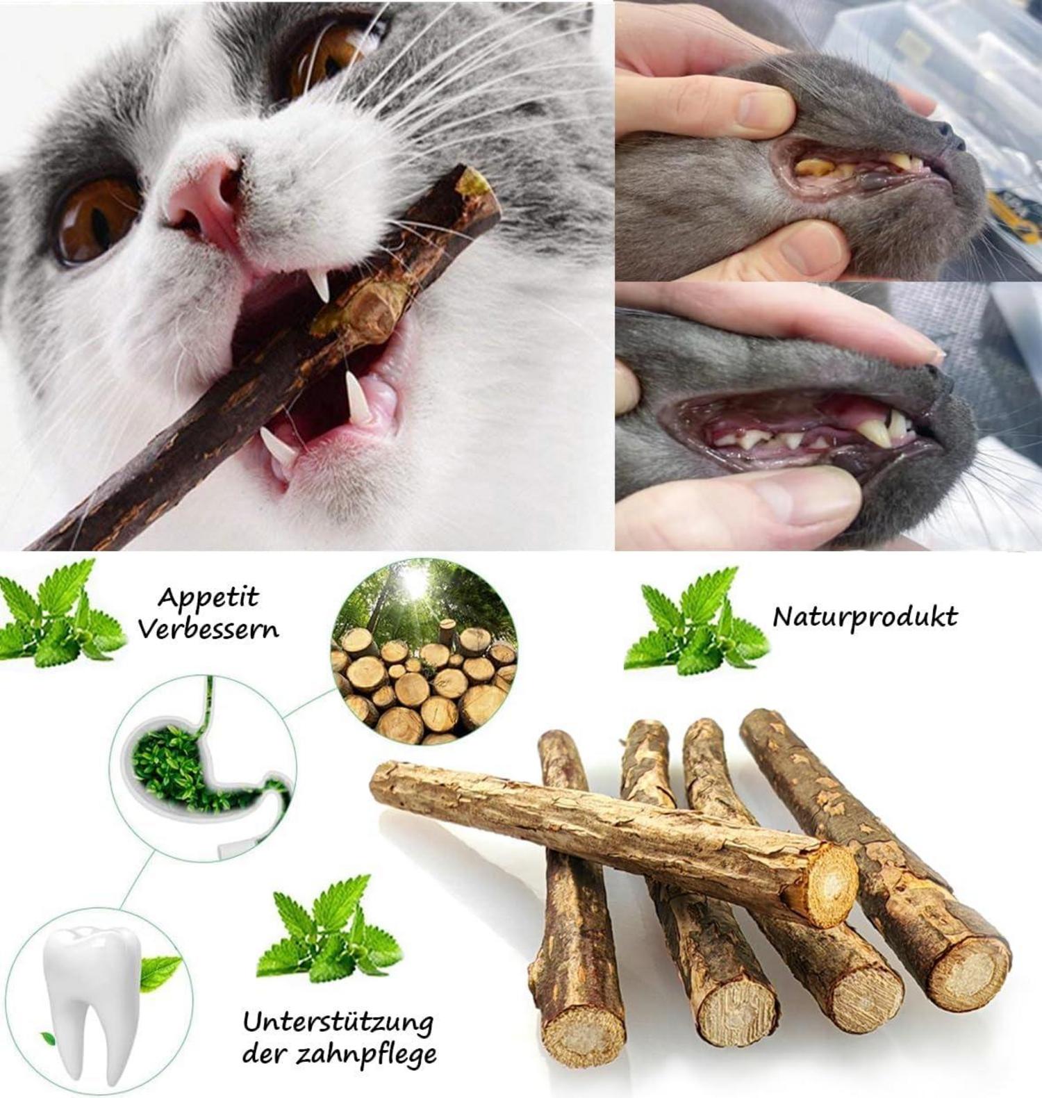 Katzenspielzeug Matatabi Stick für interaktives Spielen und Kauen