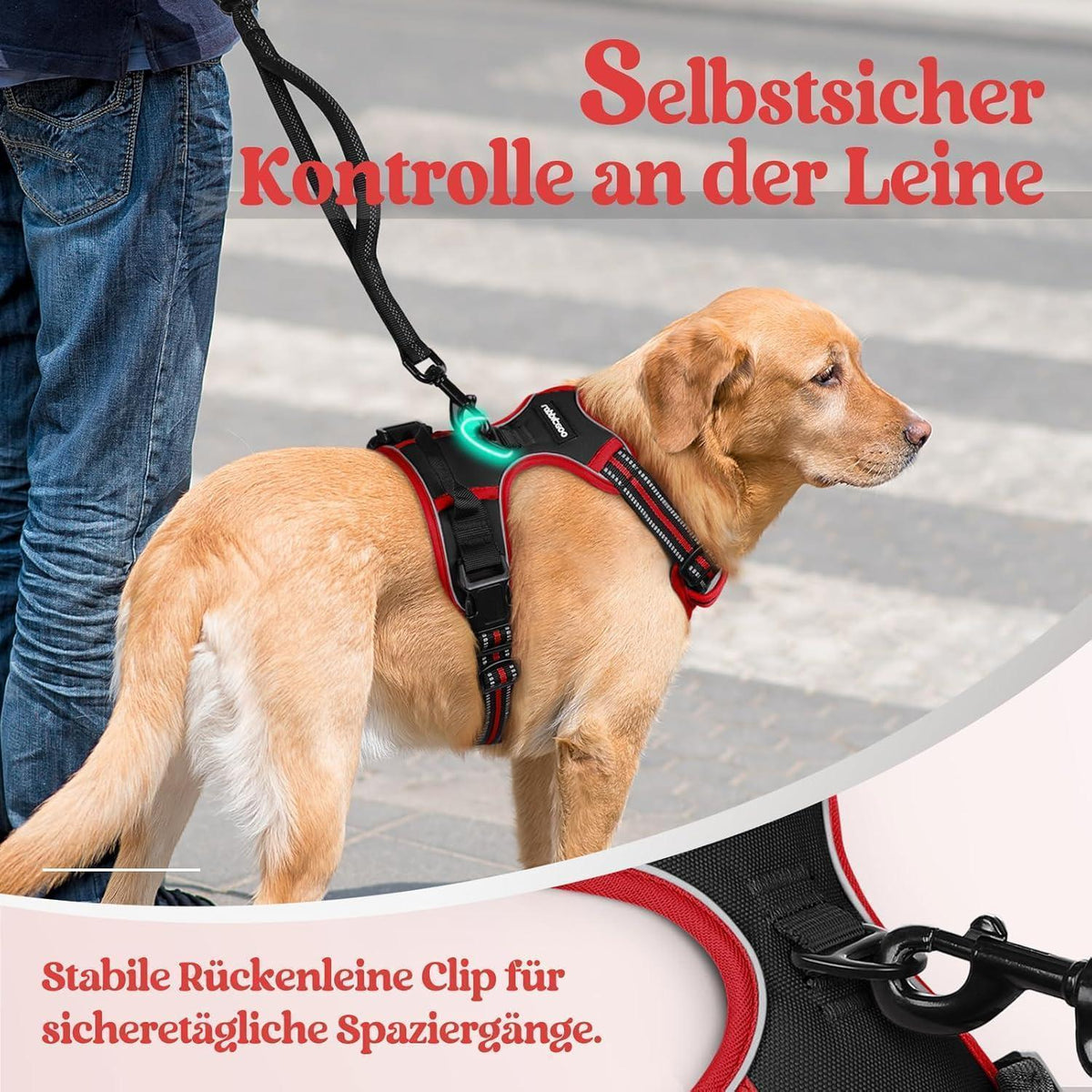 Hundegeschirr Anti-Zug mit Griff, verstellbar, atmungsaktiv, M