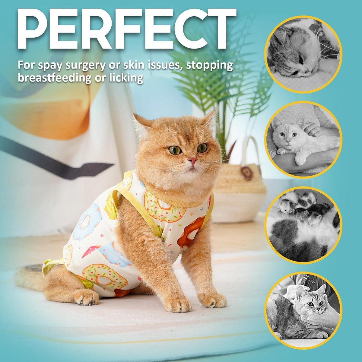 Katzen Erholungsanzug Modal Recovery Kastration Suit L - Leckschutz
