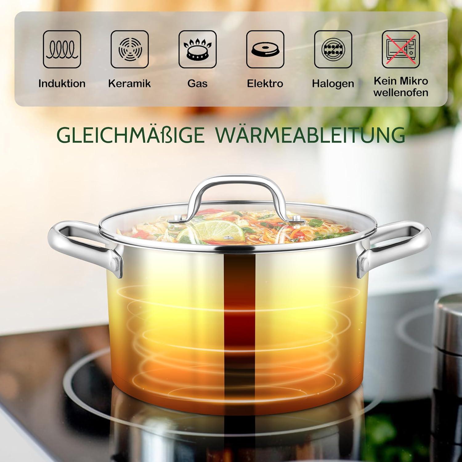 Kochtopf Edelstahl 27,5cm mit Glasdeckel 7,6L Induktion