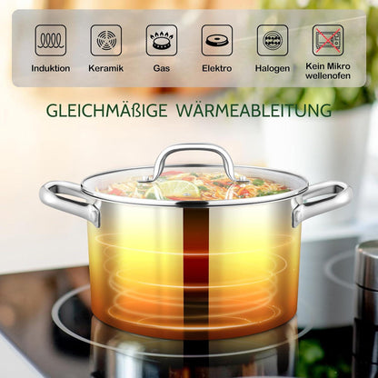 Kochtopf Edelstahl 27,5cm mit Glasdeckel 7,6L Induktion