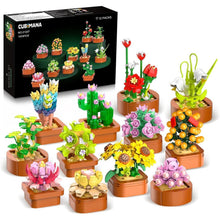 12 Sukkulenten Blumen Mini Bausatz 3.6MM Set 1403 Stück