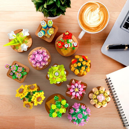 12 Sukkulenten Blumen Mini Bausatz 3.6MM Set 1403 Stück