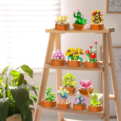 12 Sukkulenten Blumen Mini Bausatz 3.6MM Set 1403 Stück