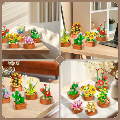 12 Sukkulenten Blumen Mini Bausatz 3.6MM Set 1403 Stück