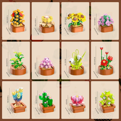 12 Sukkulenten Blumen Mini Bausatz 3.6MM Set 1403 Stück
