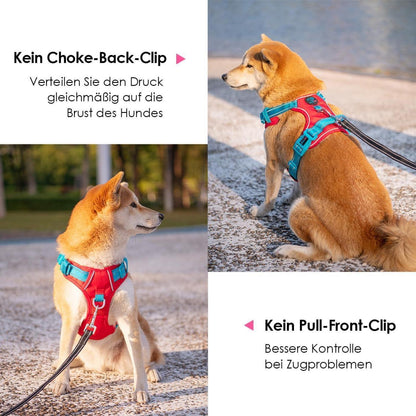 Hundegeschirr Anti-Zug Verstellbar Rot/Petrol S