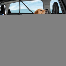 Hundedecke Auto Rückbank 4-in-1 mit Netzfenster & Aufbewahrung