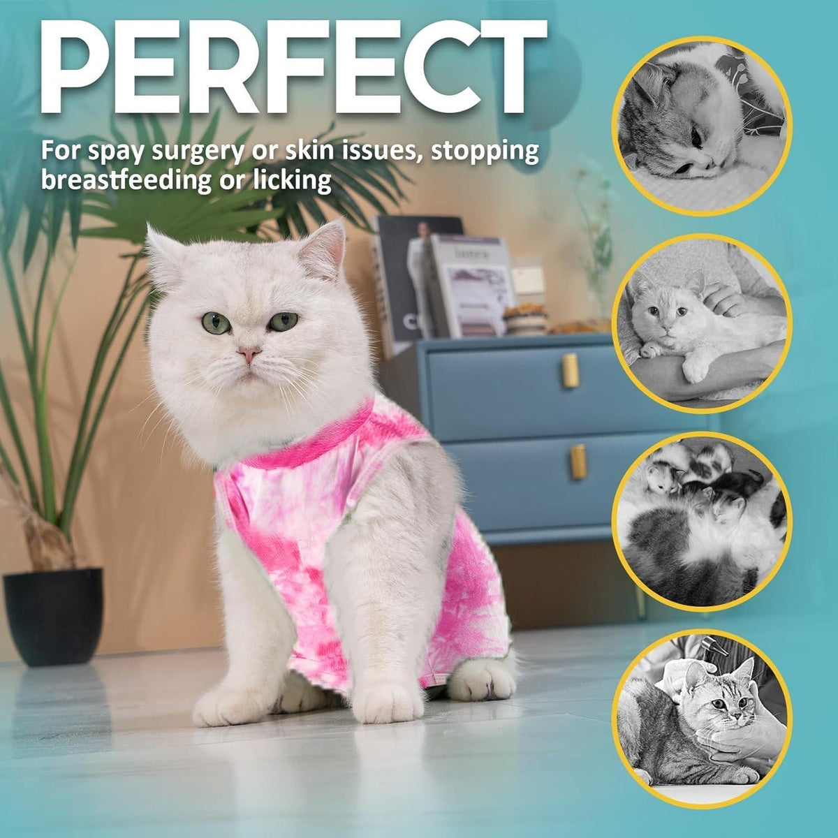 Katzenbody Erholungsanzug Kastration Recovery Modal Suit S TD-Rosa