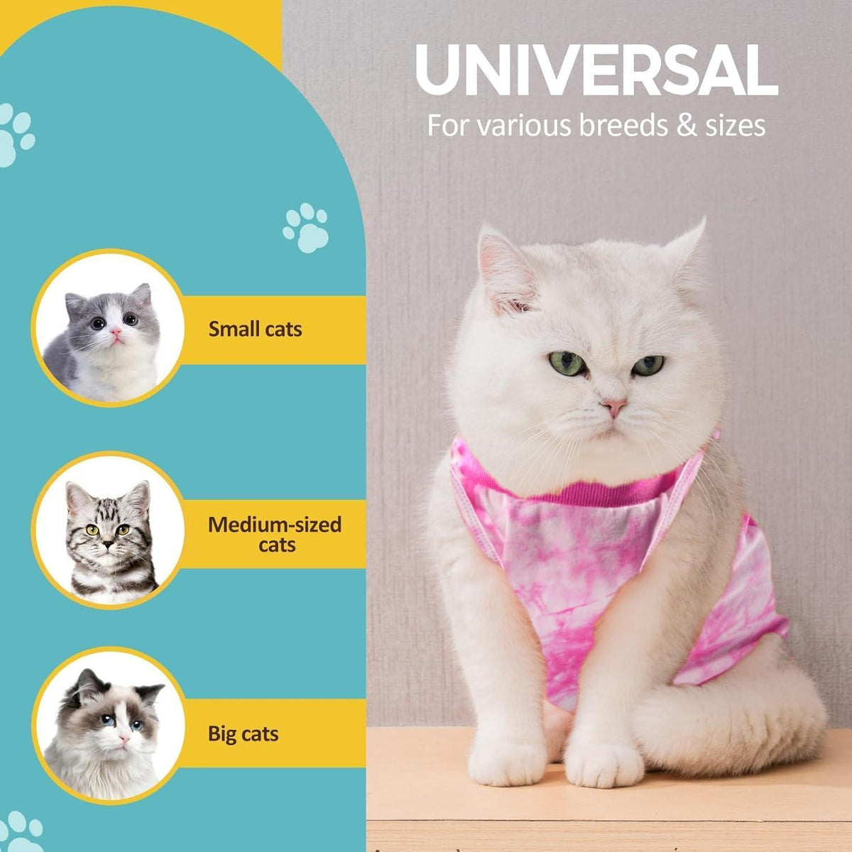 Katzenbody Erholungsanzug Kastration Spay Modal Leckschutz Suit