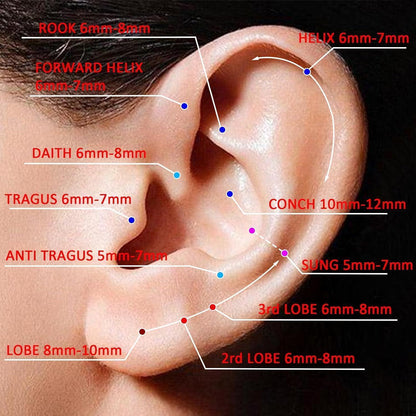 G23 Titan Nasenring Set 3 Stück 18G/20G Knorpel Helix Septum Schmuck
