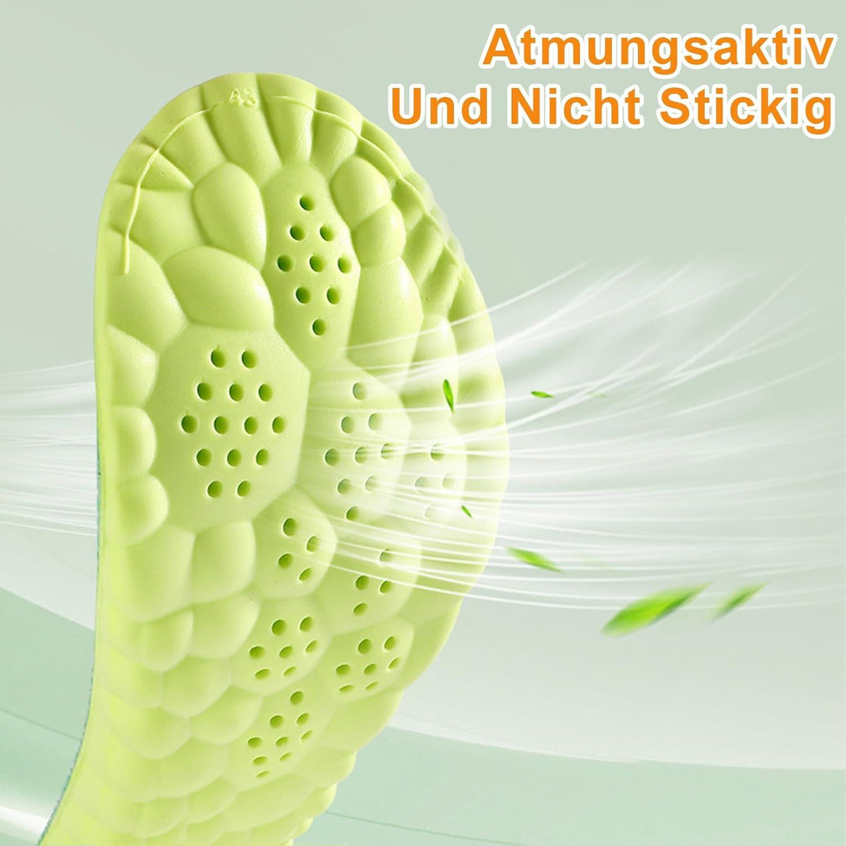 Orthopädische Einlegesohlen Fersensporn Sport Atmungsaktiv 3 Paar