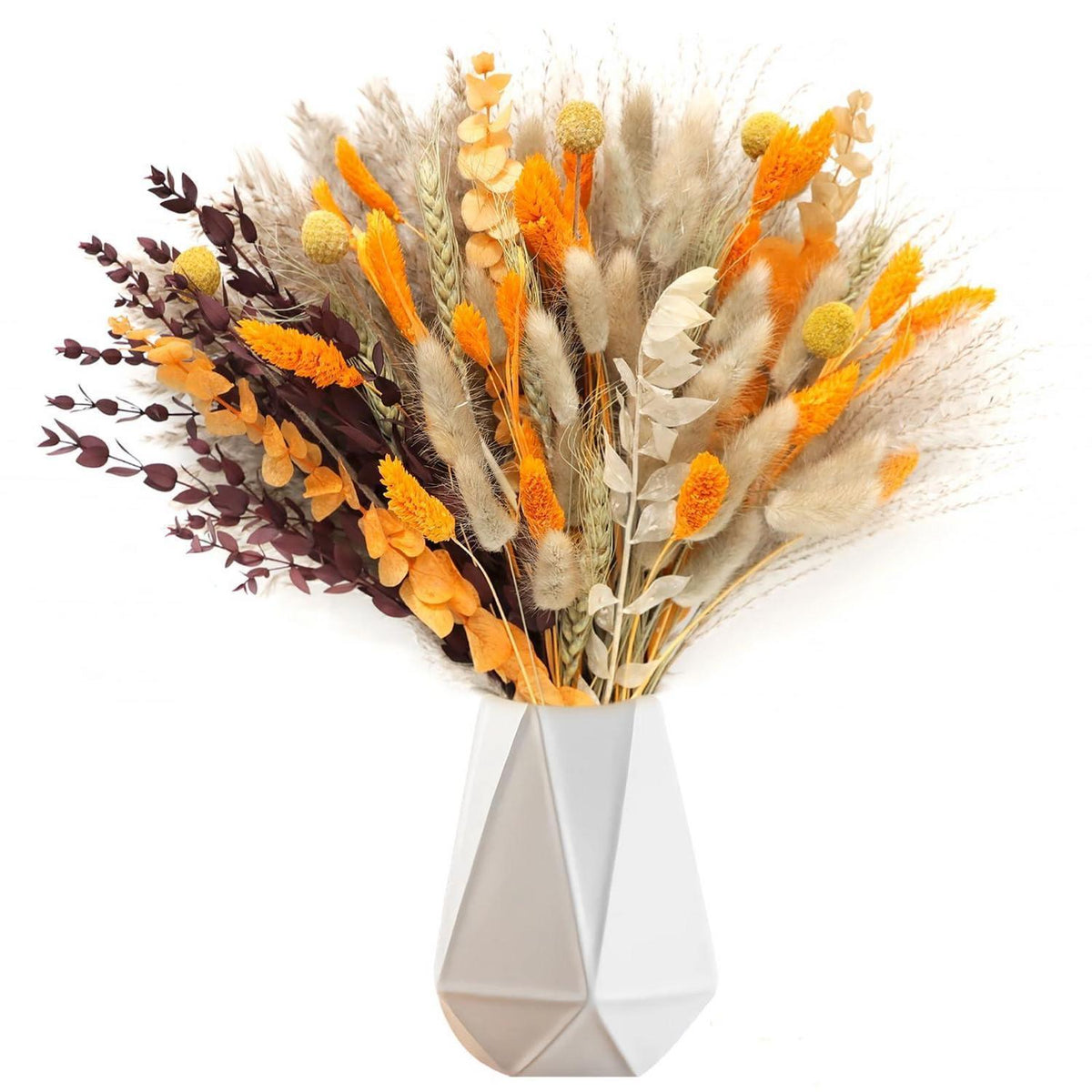 105x Getrocknetes Pampasgras - Herbst Deko & Boho Blumen