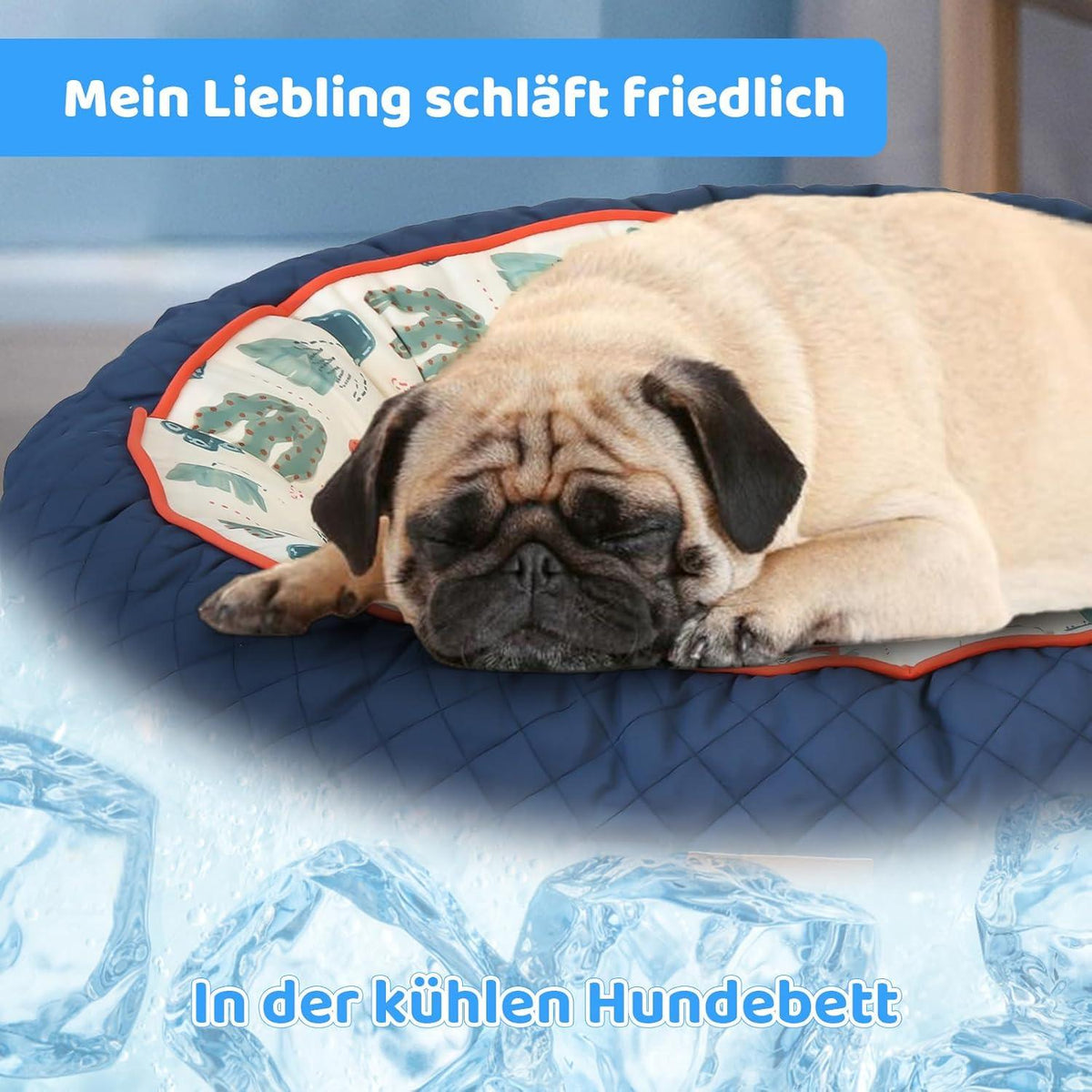 Rutschfestes Hundebett für kleine Hunde mit warmer & cooler Matte