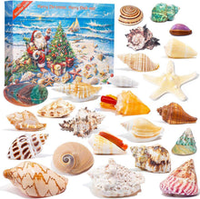 Adventskalender 2024 Muscheln 24 Tage