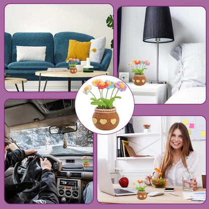 DIY Häkelset für Anfänger - Blumen Topf Verzierung - Frauen Geschenk