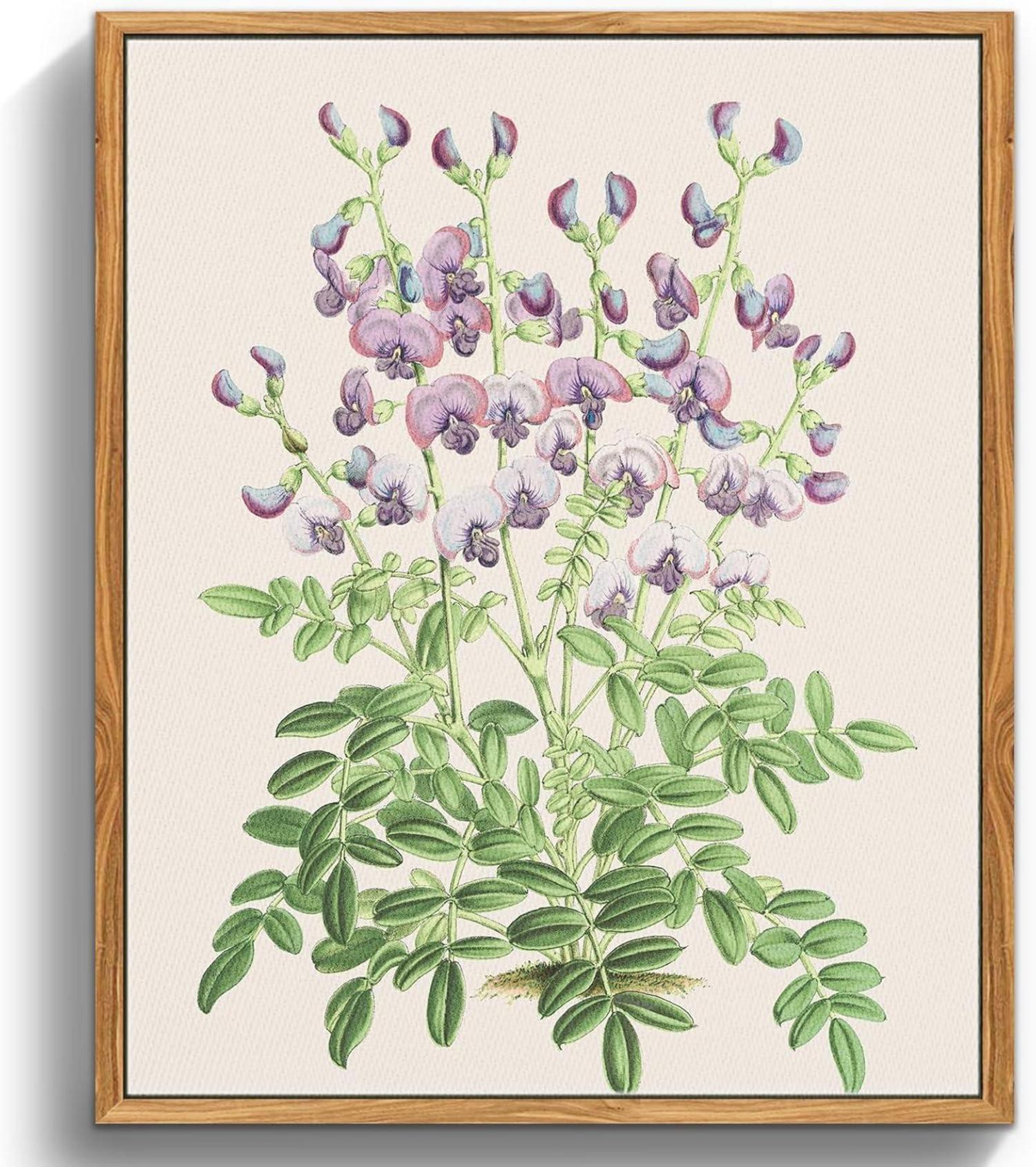 Vintage Botanische Leinwandbilder mit Rahmen 20x25cm Wanddeko