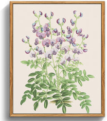 Vintage Botanische Leinwandbilder mit Rahmen 20x25cm Wanddeko