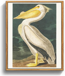 Vintage Vogel Leinwand Bild mit Holzrahmen 40x60 cm Pelikan Aesthetic