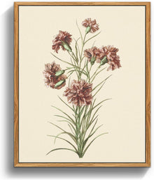Vintage Botanische Leinwandbilder mit Holzrahmen 20x25cm - Aesthetic
