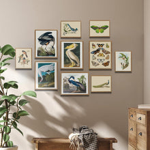 Leinwandbild Vintage Vogel mit Rahmen 30x40cm Aesthetic Tier