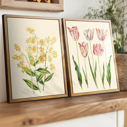 Vintage Botanische Leinwandbilder mit Rahmen Holz 30x40 cm Aesthetic