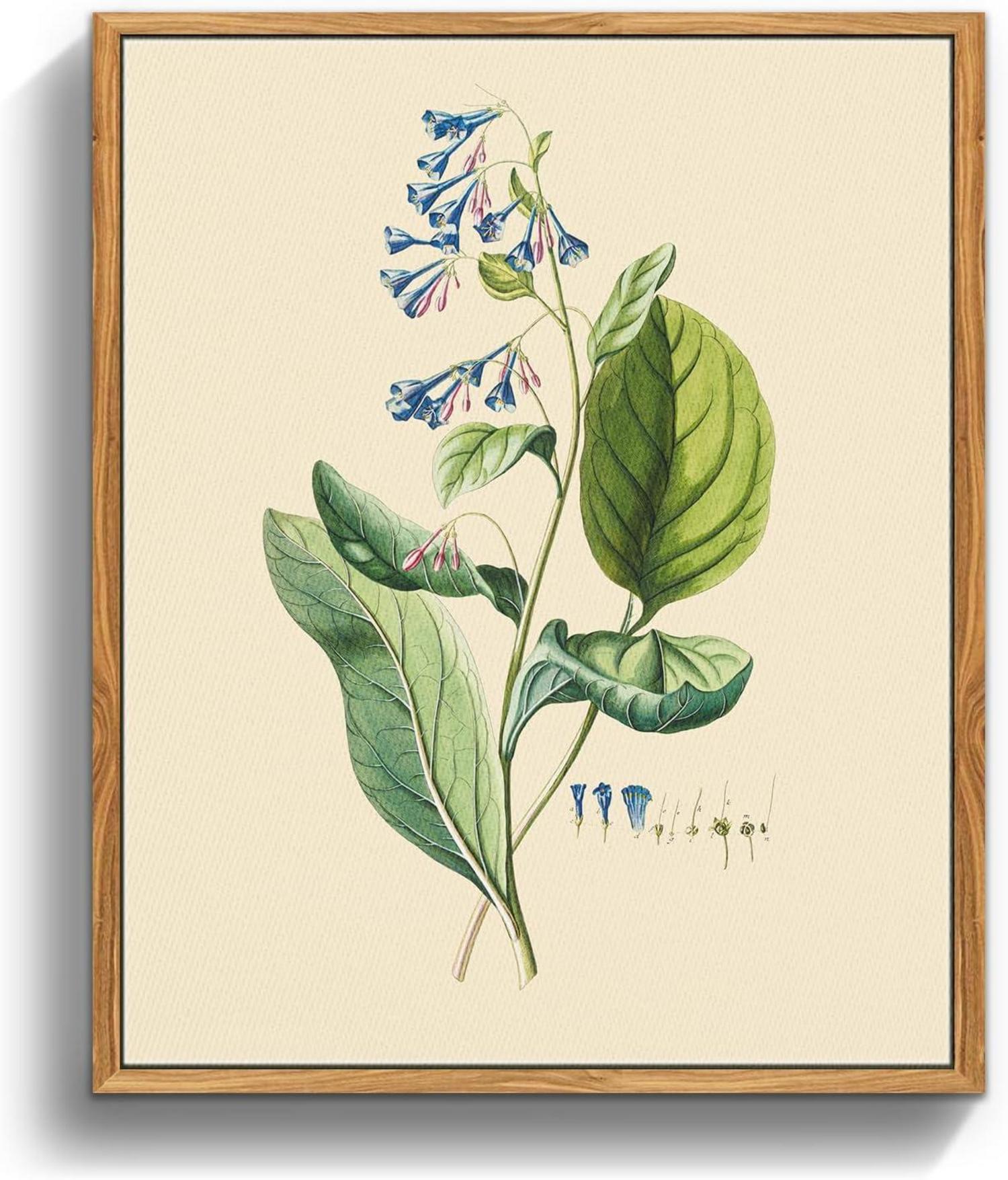 Vintage Botanische Leinwandbilder mit Rahmen, 20x25 cm, Wohnzimmer
