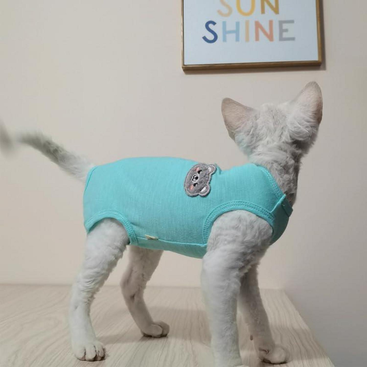 Katzenbody OP Kastration Sphynx Baumwolle Blaugrün M
