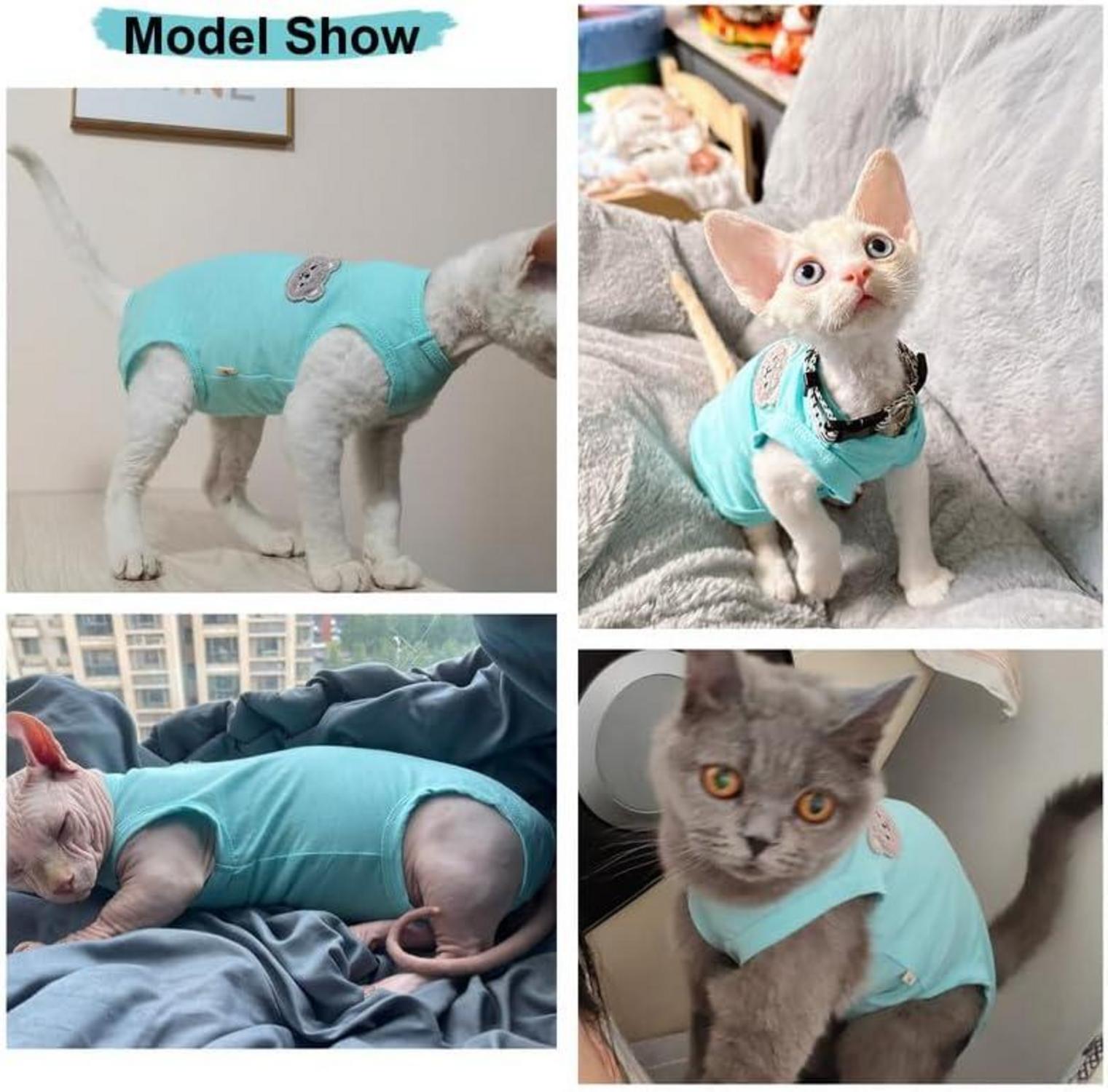 Katzenbody Sphynx OP-Kleidung Bauchschutz Blau M
