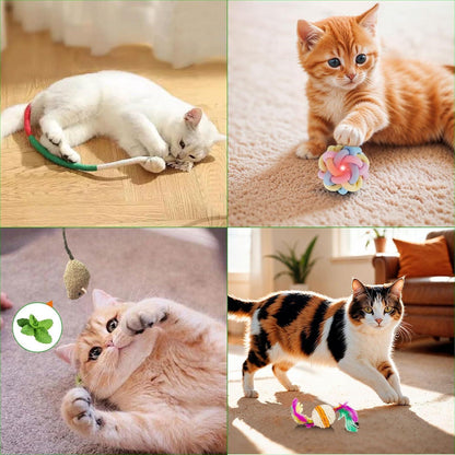 Katzen Adventskalender 12 Tage Weihnachts Countdown
