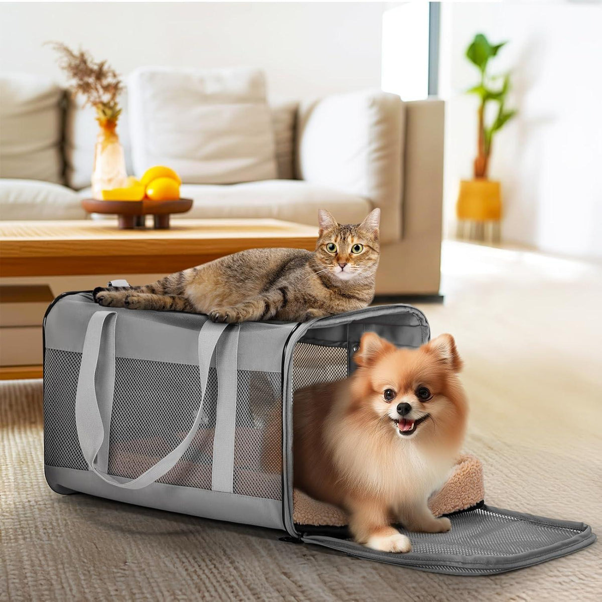 Katzentransportbox Auto mit Kissen & Tragegriff Grau Large+
