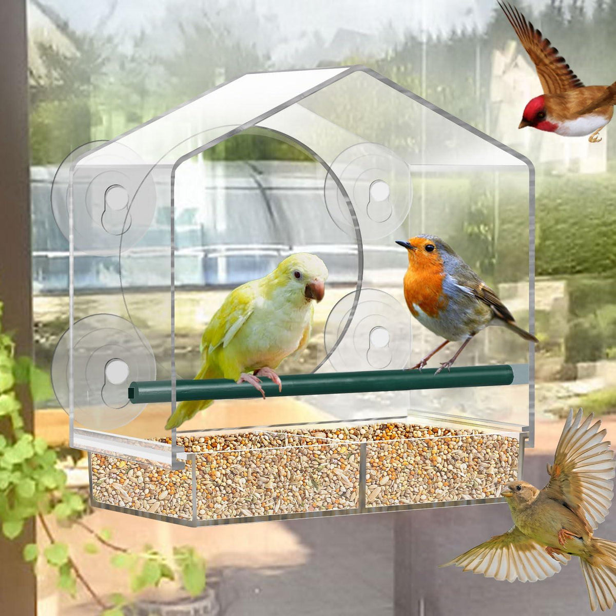 Vogelhaus Fensterscheibe mit Saugnäpfen Vogelfutterhaus Groß Transparent