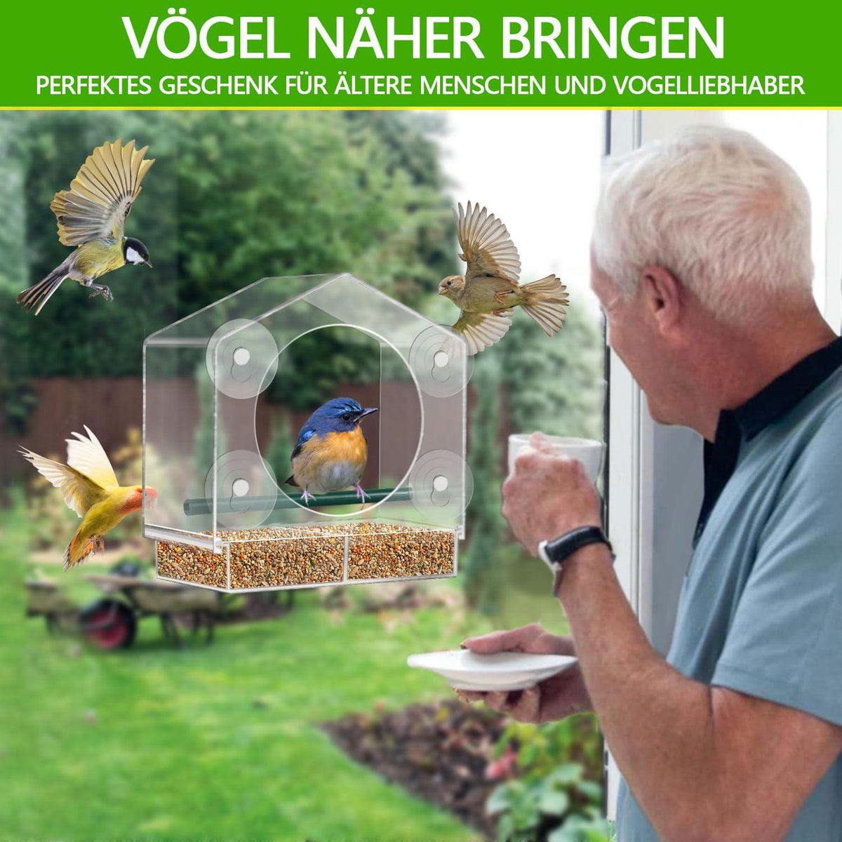 Vogelhaus Fensterscheibe Groß Transparent Saugnapf Landungshilfe