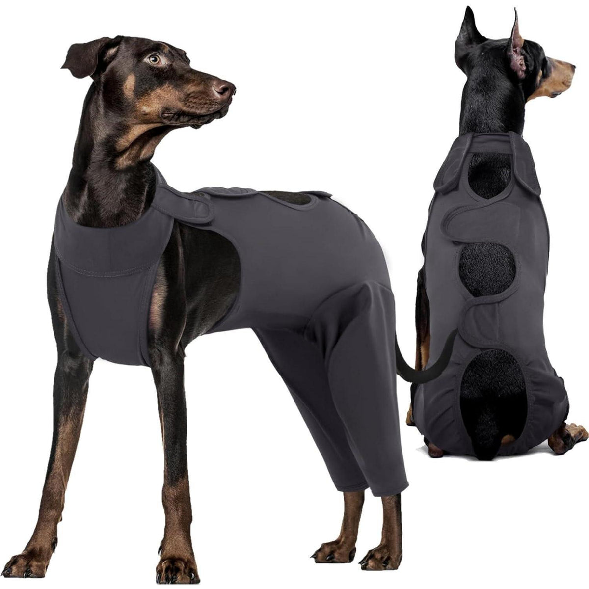 Hundebody nach OP für Kastration & Wundschutz, Grau L
