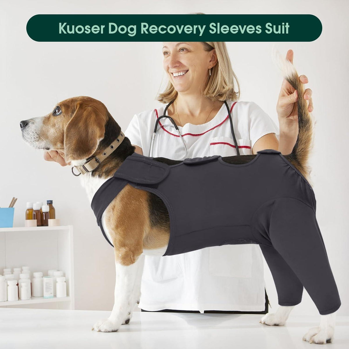 Hundebody nach OP für Kastration & Wundschutz, Grau L