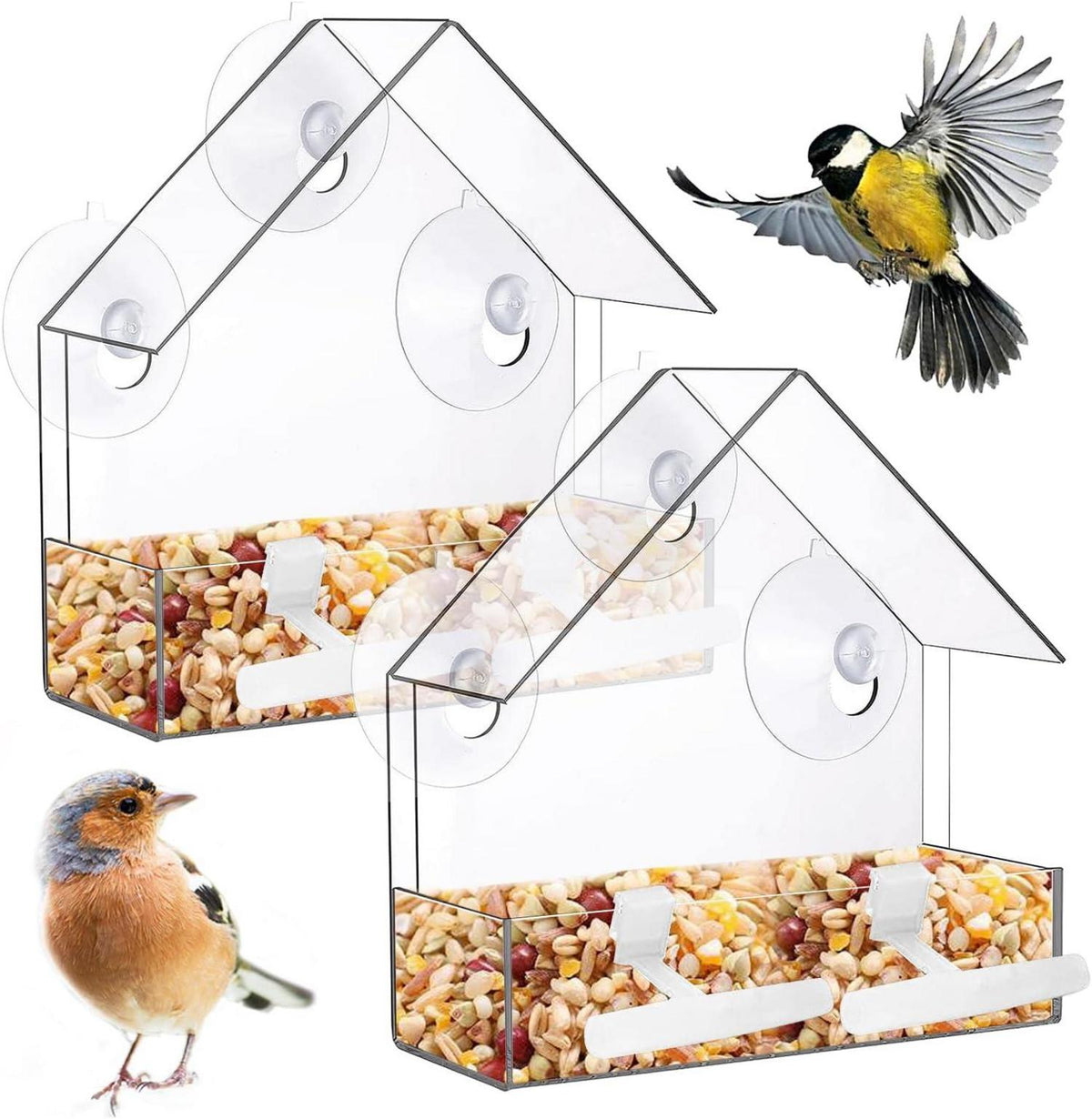 Transparentes Vogelhäuschen für kleine Vögel mit Saugnäpfen und