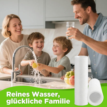 Ersatzfilter für Hauswasserfilter – 2x Vliesfilter 80µm