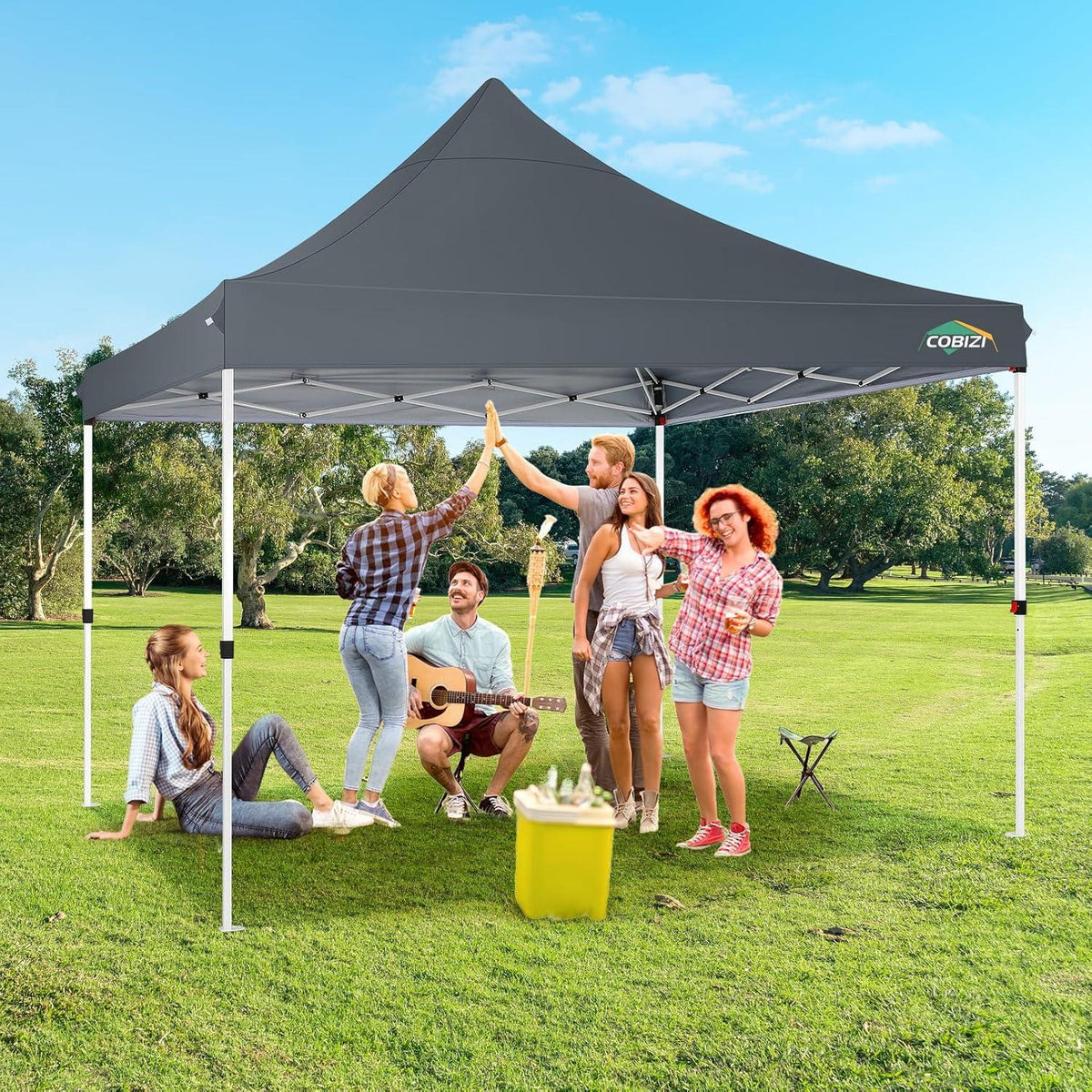 COBIZI Pavillon 3x3 wasserdicht stabil mit Seitenwänden