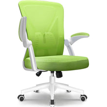 Ergonomischer Bürostuhl mit Lendenwirbelstütze und Grüne