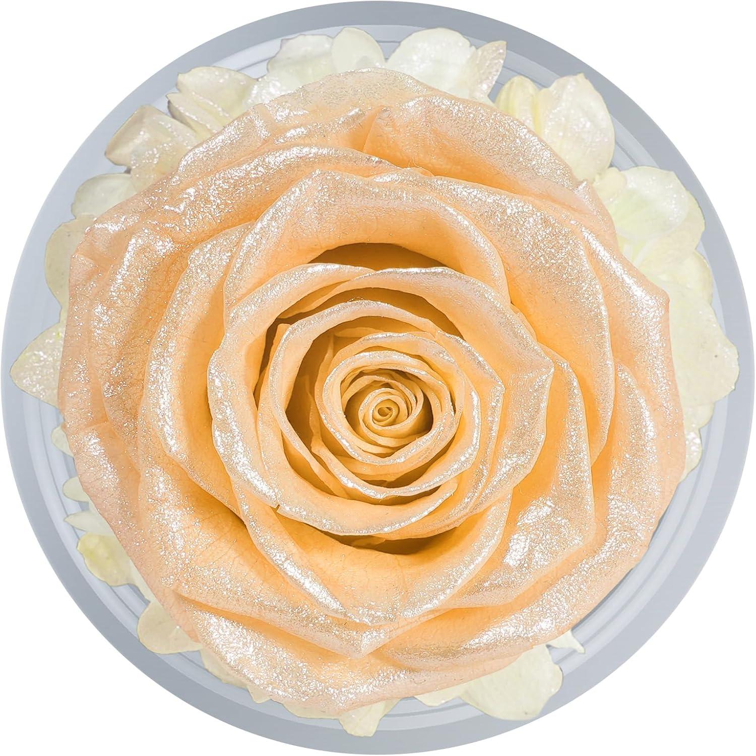 Ewige Rose Engel Figur im Glas – Geschenke Weihnachten