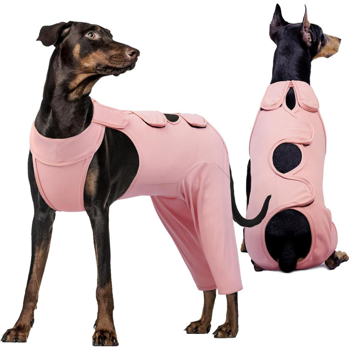 Hundebody nach OP – Wundschutz & Erholungsanzug für Hunde