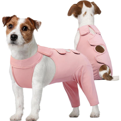 Hundebody nach OP – Wundschutz & Erholung für Hunde