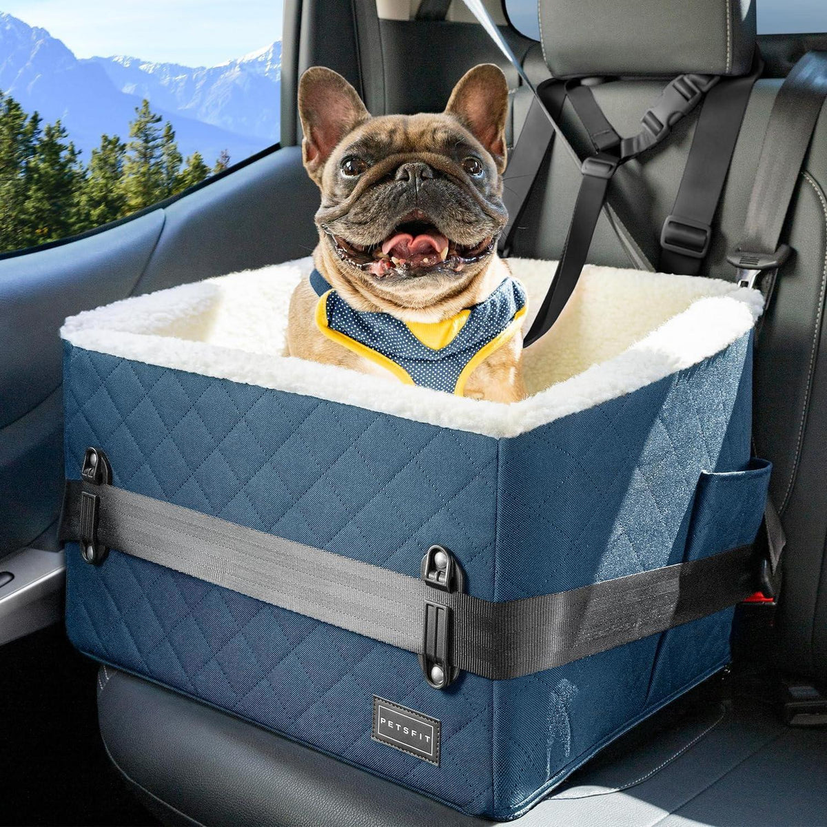 Hunde Autositz erhöht – Sicher & Komfortabel für kleine Hunde