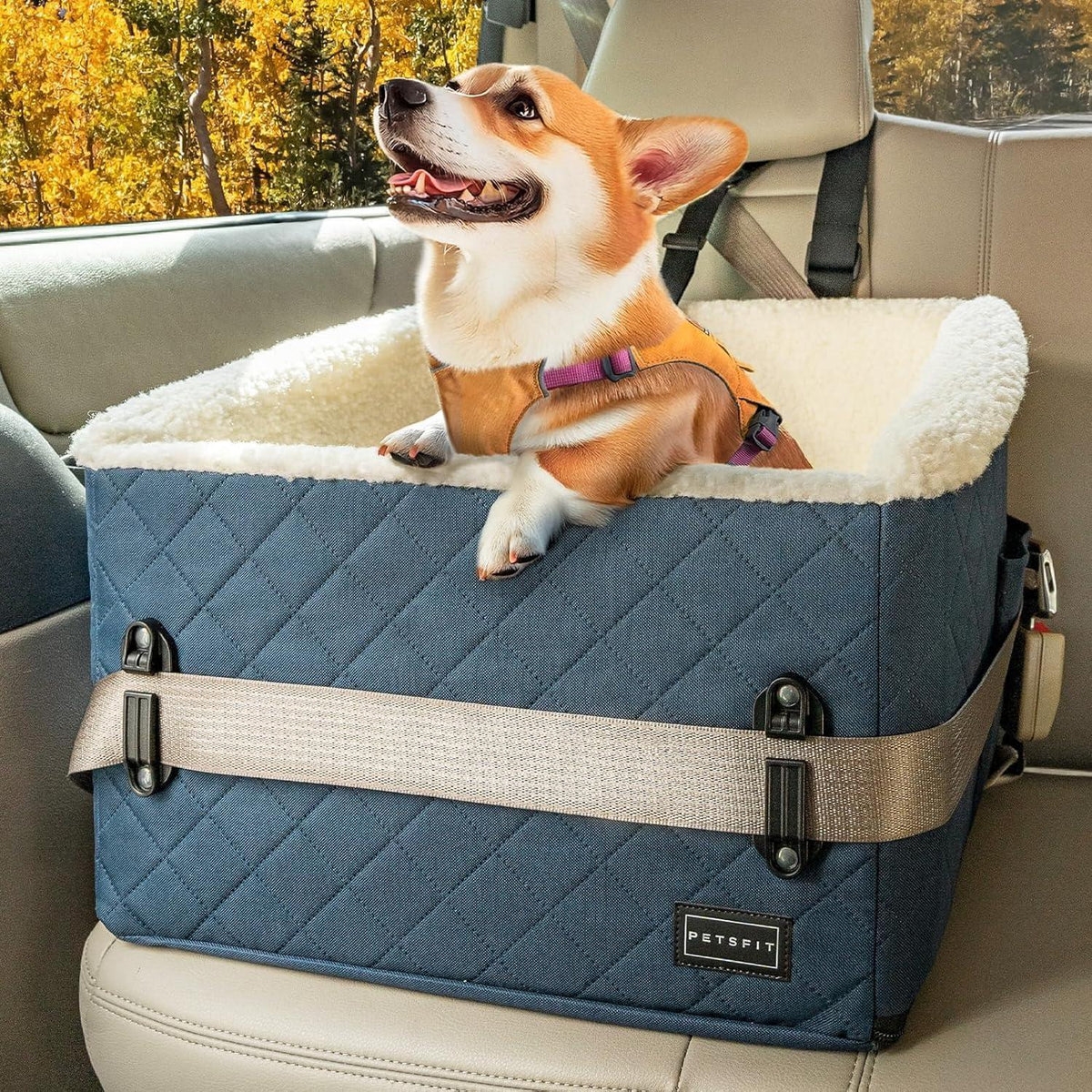 Hunde Autositz erhöht – Sicher & Komfortabel für kleine Hunde