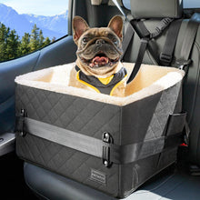 Hunde Autositz erhöht – Sicher & Komfortabel für kleine Hunde