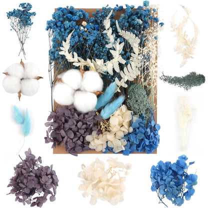 Natürliche Trockenblumen Mix Blau für DIY & Deko