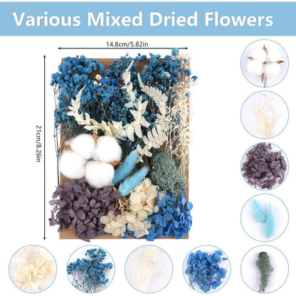 Natürliche Trockenblumen Mix Blau für DIY & Deko