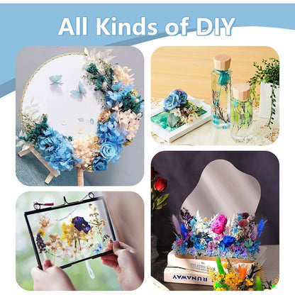 Natürliche Trockenblumen Mix Blau für DIY & Deko